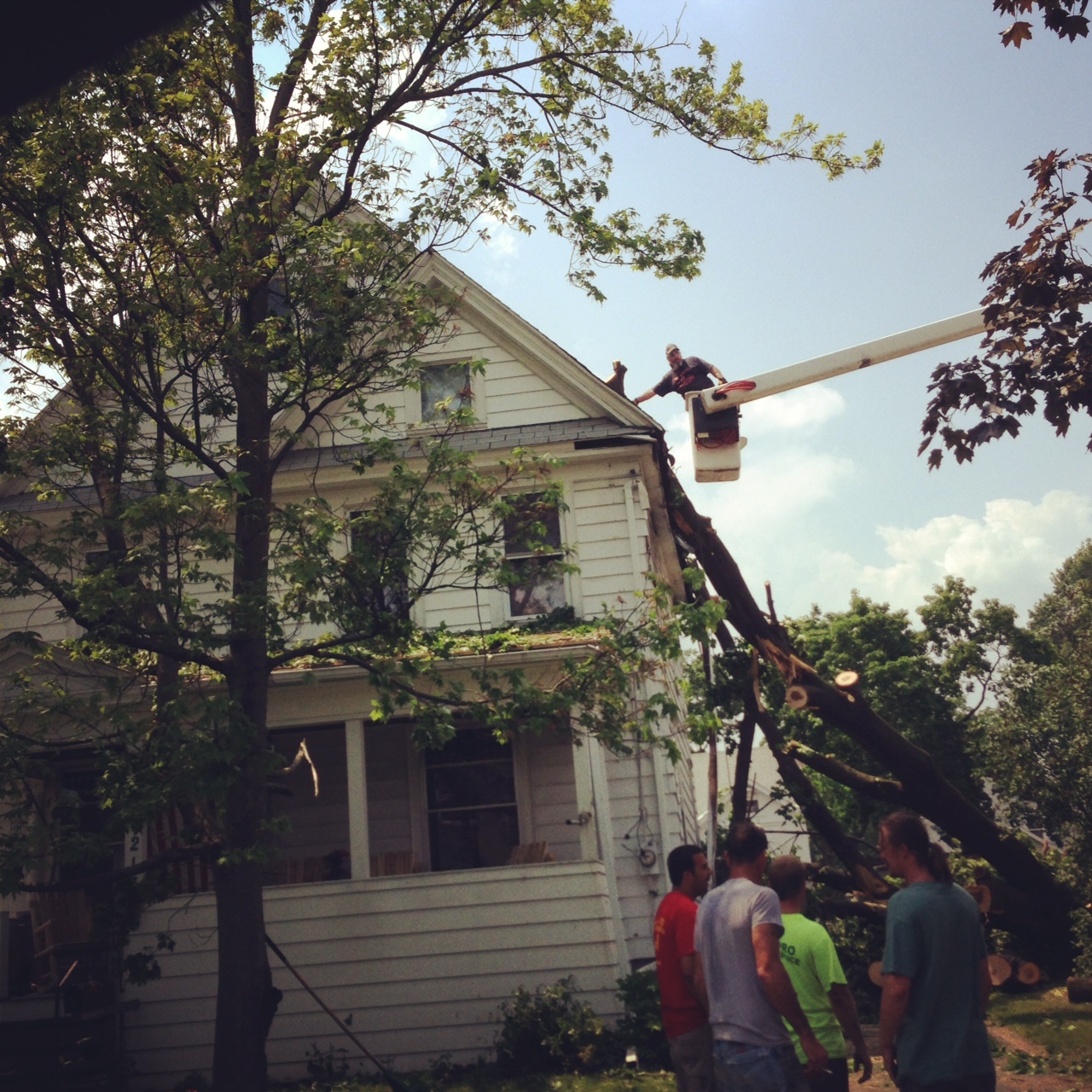 tree on house e syracuse ny